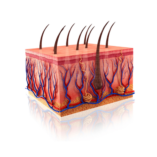 BLOG: BENEFITS OF EXFOLIATION